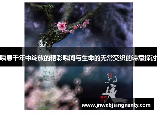 瞬息千年中绽放的精彩瞬间与生命的无常交织的诗意探讨