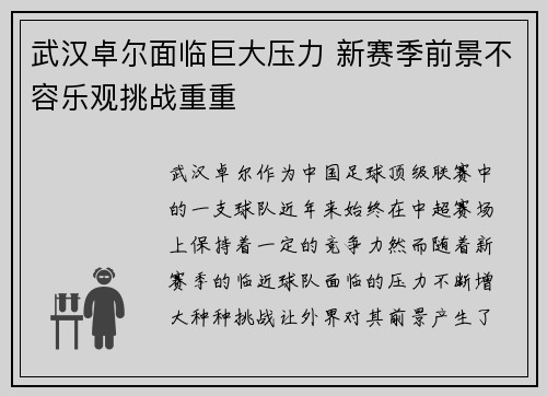 武汉卓尔面临巨大压力 新赛季前景不容乐观挑战重重