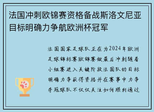 法国冲刺欧锦赛资格备战斯洛文尼亚目标明确力争航欧洲杯冠军