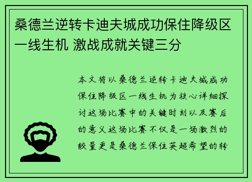 桑德兰逆转卡迪夫城成功保住降级区一线生机 激战成就关键三分