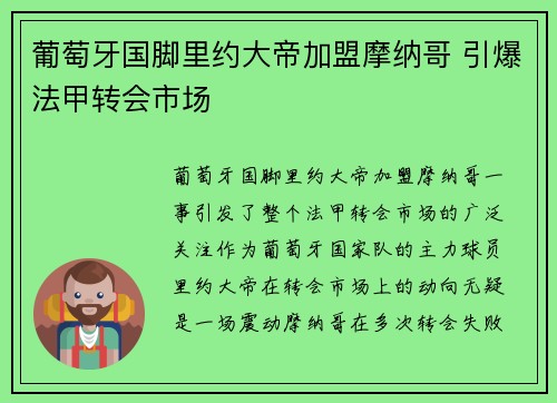 葡萄牙国脚里约大帝加盟摩纳哥 引爆法甲转会市场
